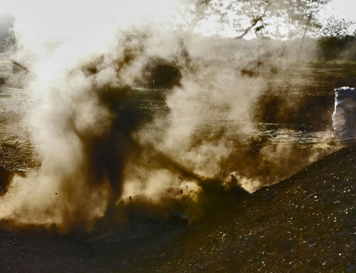 LANDSCAPE O MIRADAS AL ENTORNO